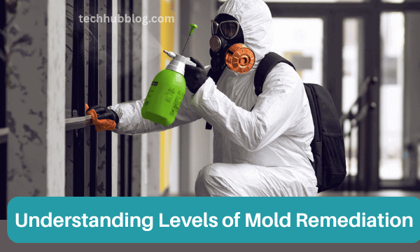 Comprehensive Guide to Understanding Levels of Mold Remediation