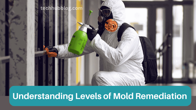 Comprehensive Guide to Understanding Levels of Mold Remediation