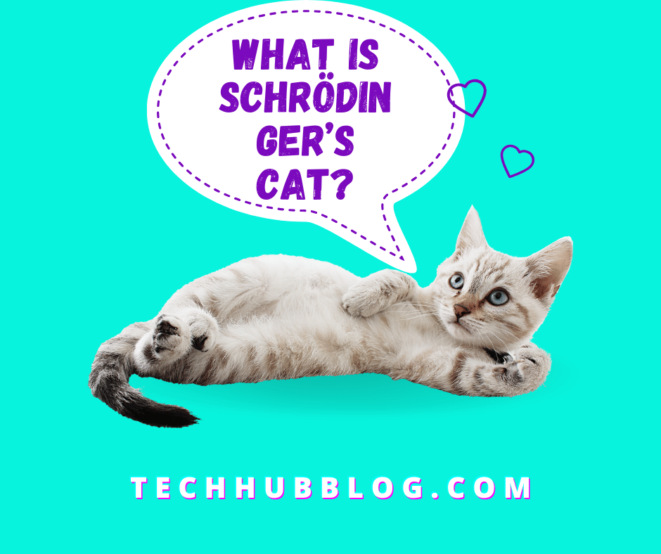 Discover the fascinating concept of Schrödinger’s Cat, a thought experiment that explores the strange world of quantum mechanics and superposition.